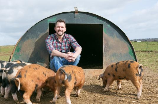 Jimmy at Jimmy's Farm with some pigs